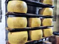 Prawdziwy parmezan: jak rozpoznać DOP i odróżnić od Grana Padano
