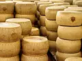 Grana Padano vs Parmigiano Reggiano: Kluczowe różnice i zastosowania