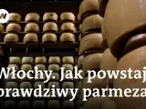 Jak powstaje Parmigiano Reggiano? Proces produkcji krok po kroku