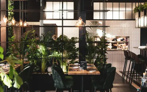 Łódź: Gdzie zjeść obiad? Odkryj TOP restauracje na każdą okazję!