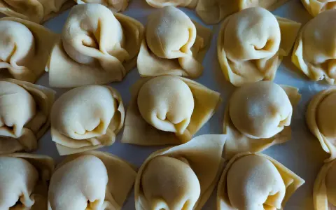 Surowe tortellini ułożone rzędami na jasnym tle.