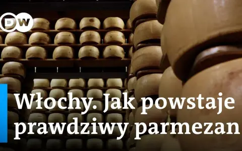 Jak powstaje Parmigiano Reggiano? Proces produkcji krok po kroku