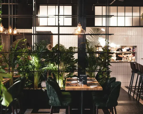 Łódź: Gdzie zjeść obiad? Odkryj TOP restauracje na każdą okazję!