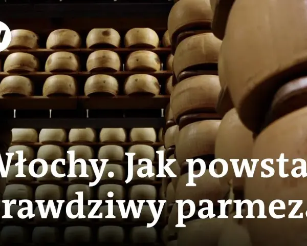 Jak powstaje Parmigiano Reggiano? Proces produkcji krok po kroku